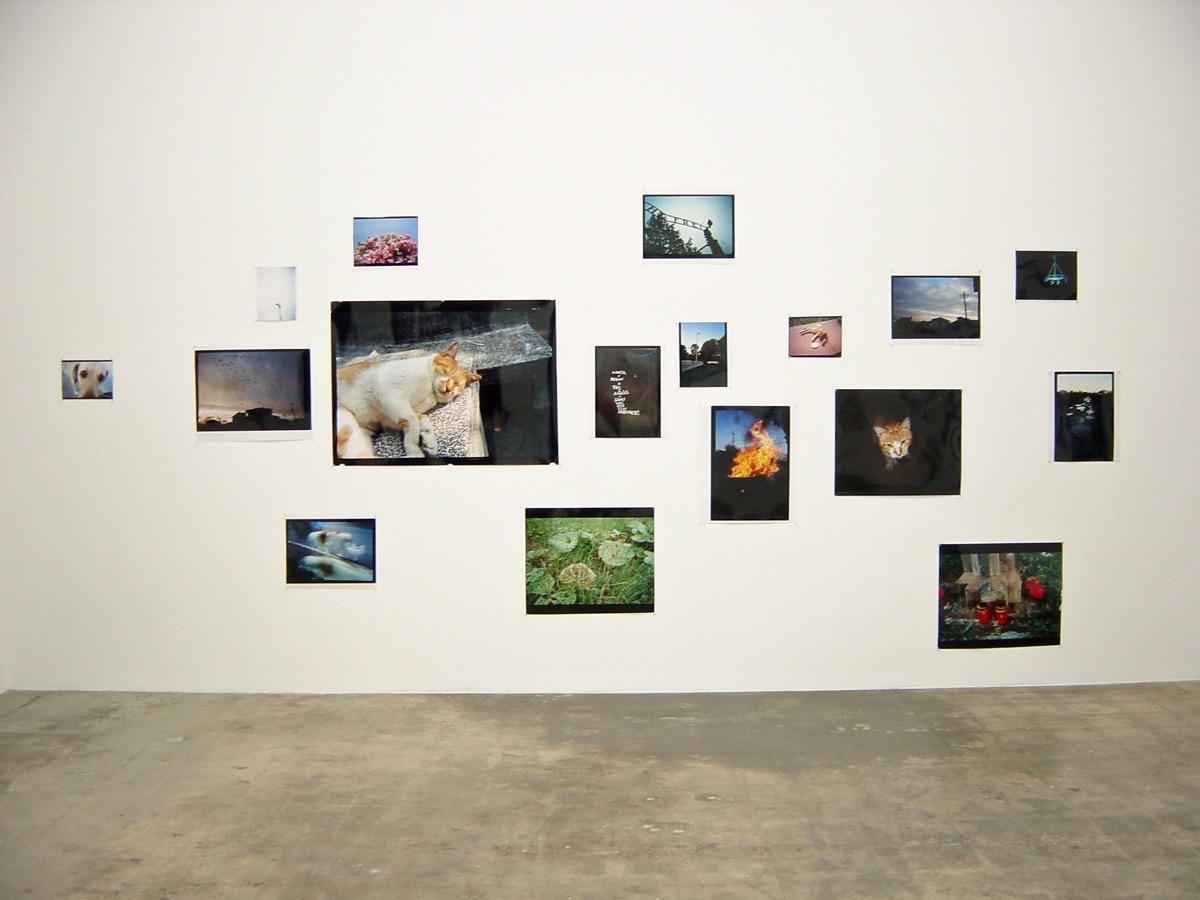 個展（ブラム・アンド・ポー・ロサンゼルス）　展示風景