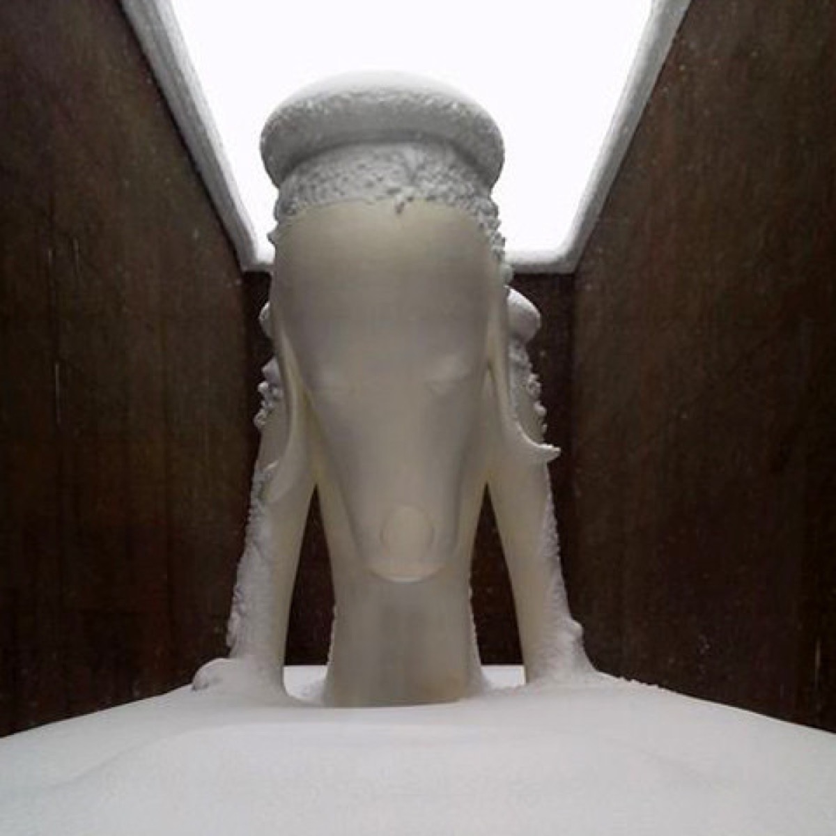 雪の帽子をかぶった《あおもり犬》