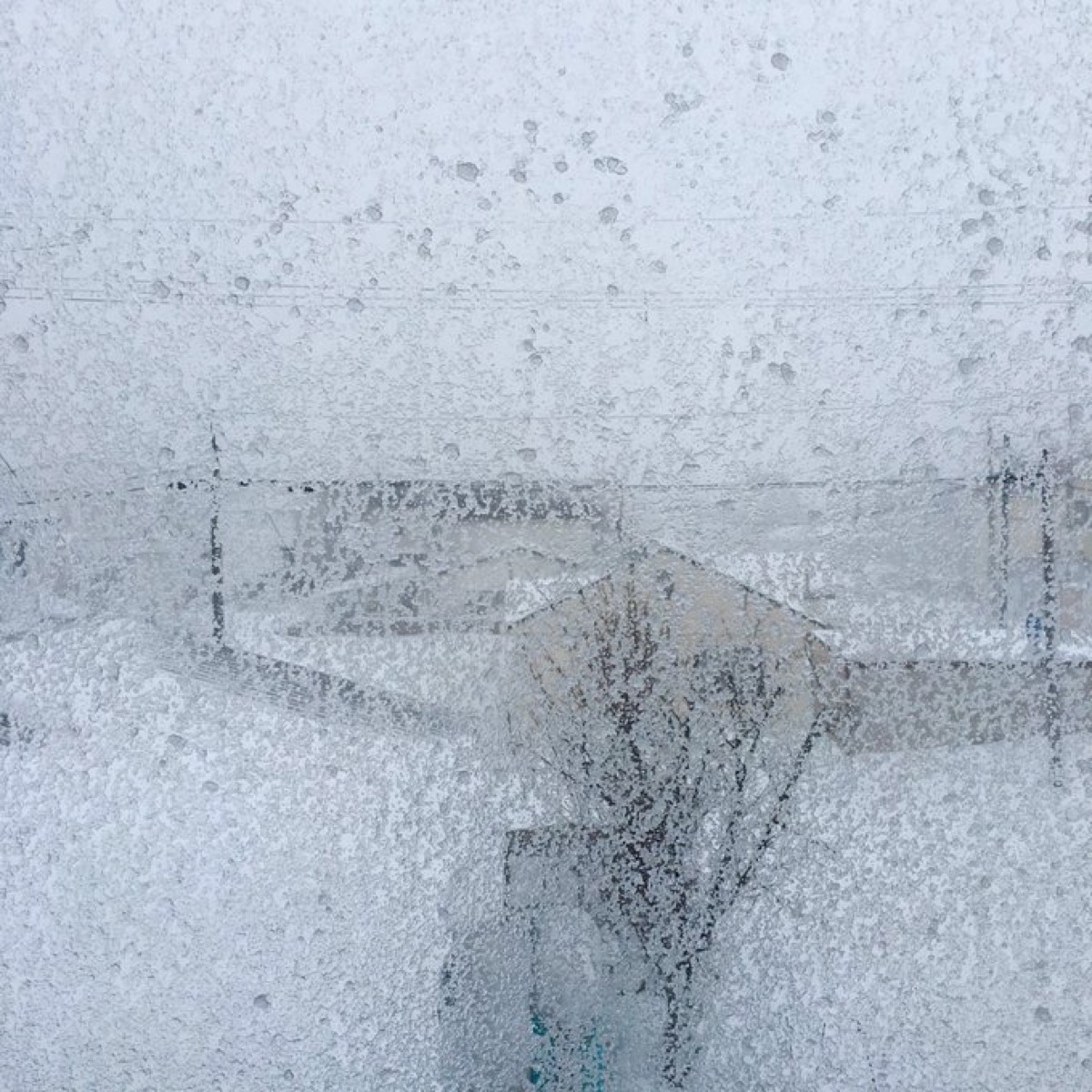 北海道斜里町にて