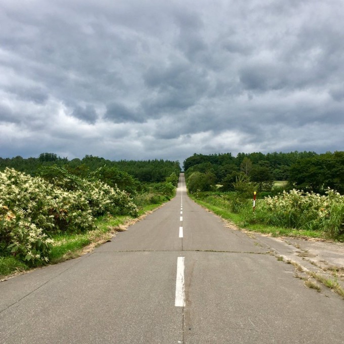 北海道鹿追町