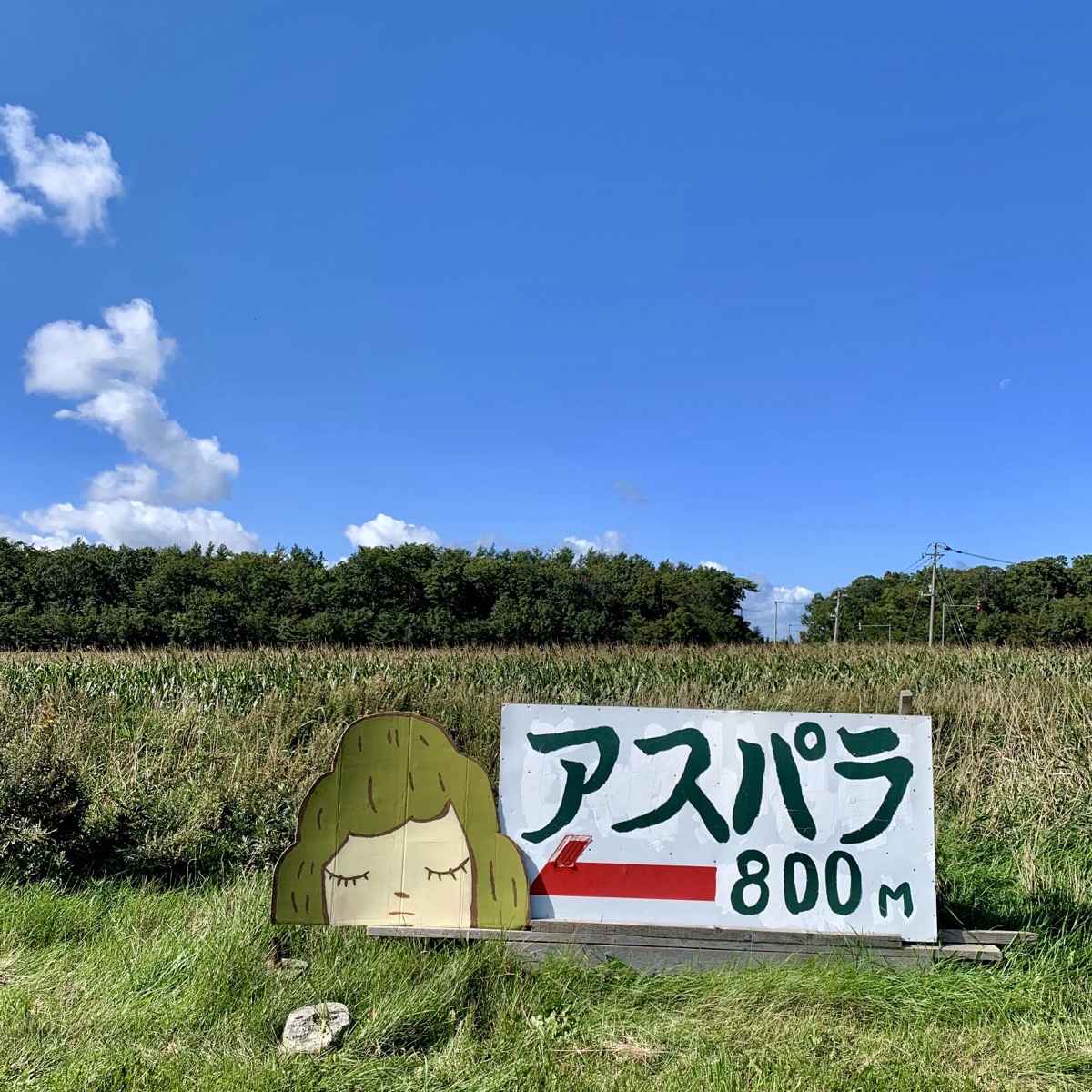 段ボールに描いた作品と北海道の風景を写真に収めた《旅する山子》