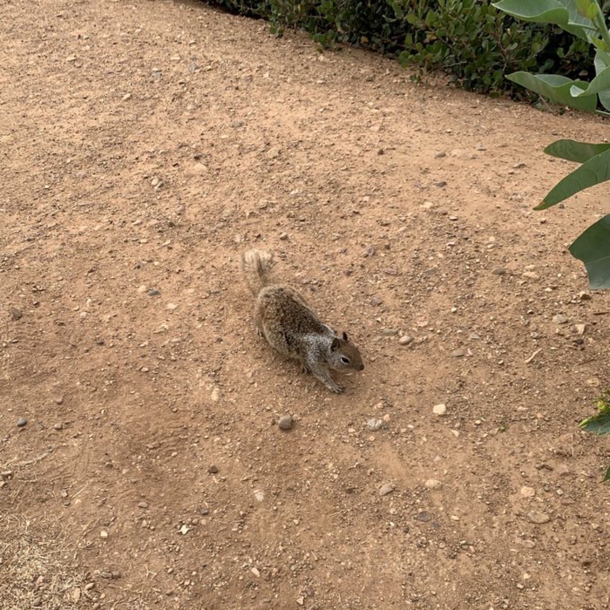 カリフォルニアにて