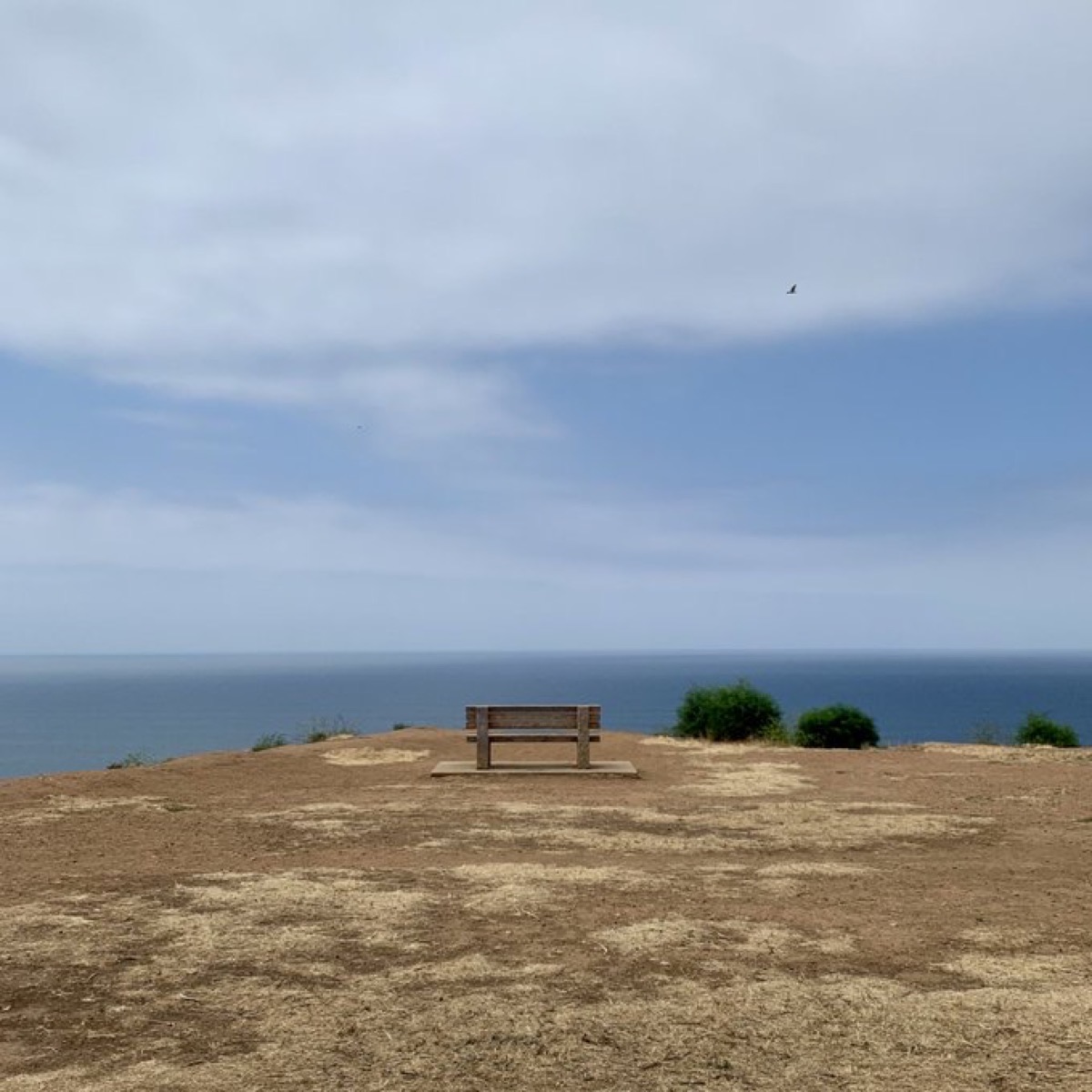 カリフォルニアにて